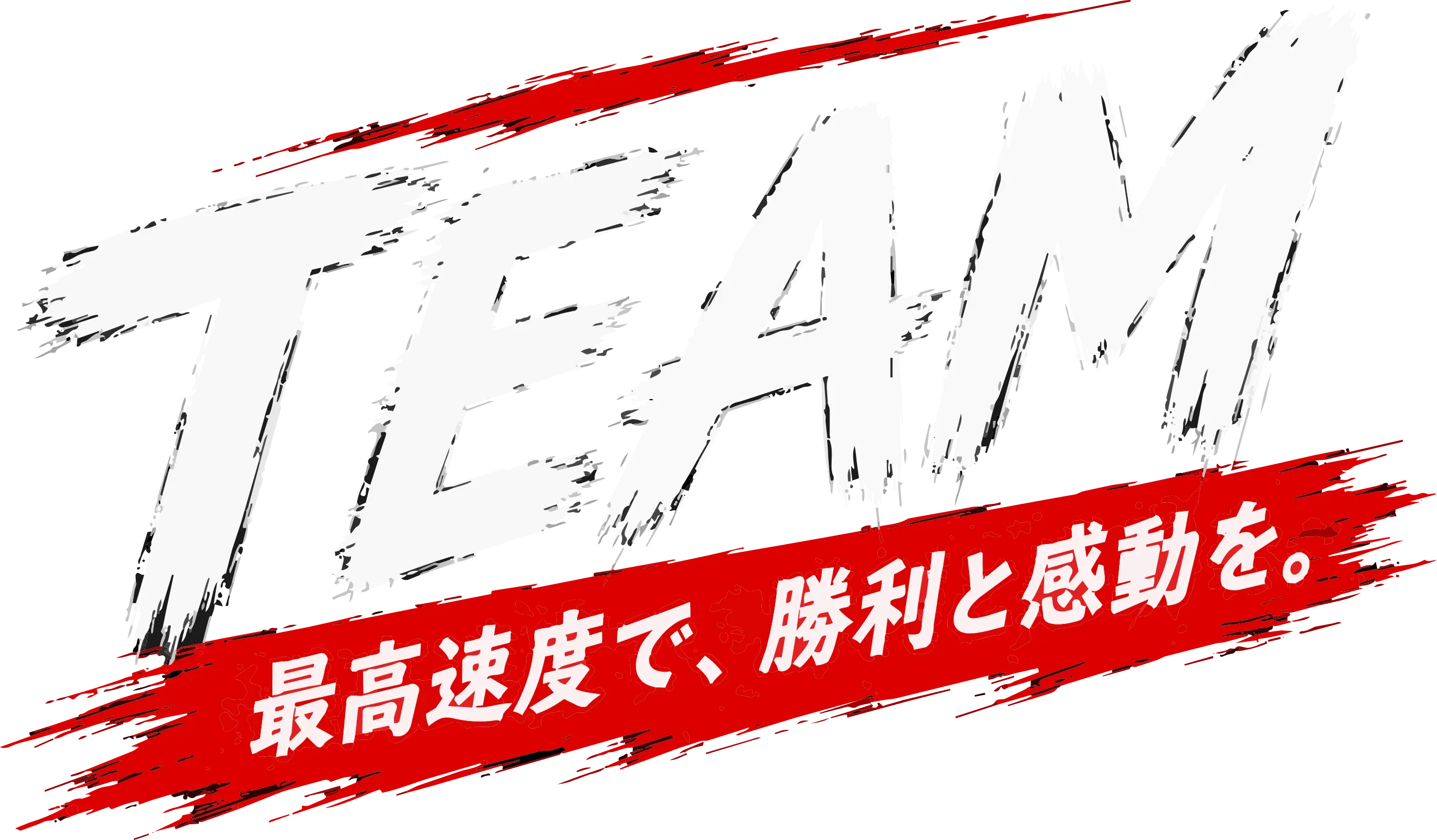 TEAM